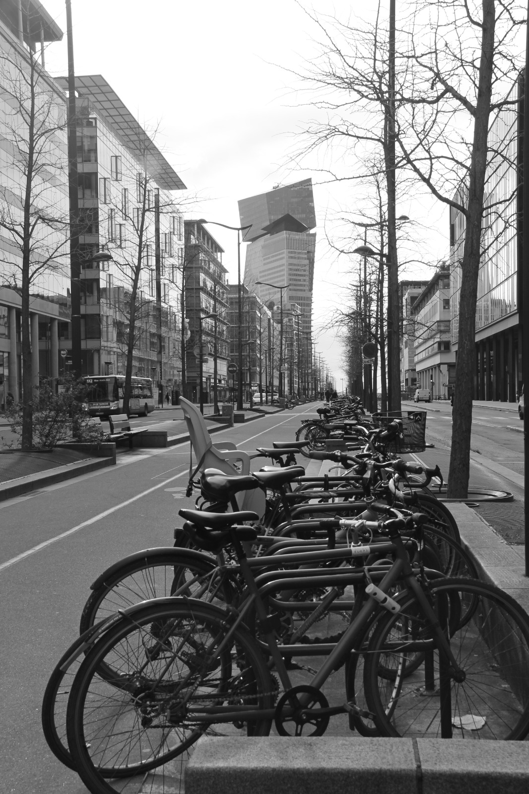 Photo du défi