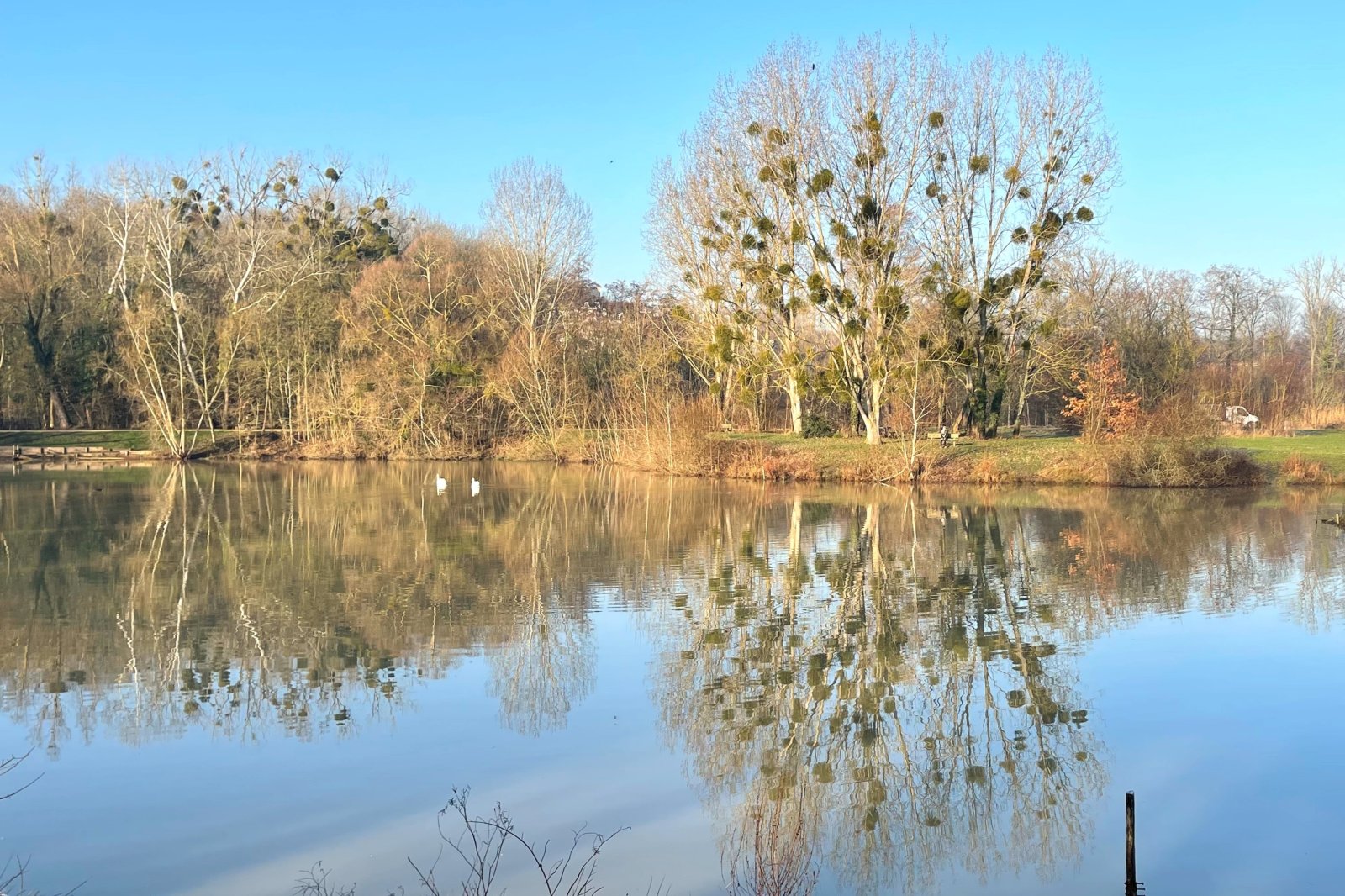 Photo du défi