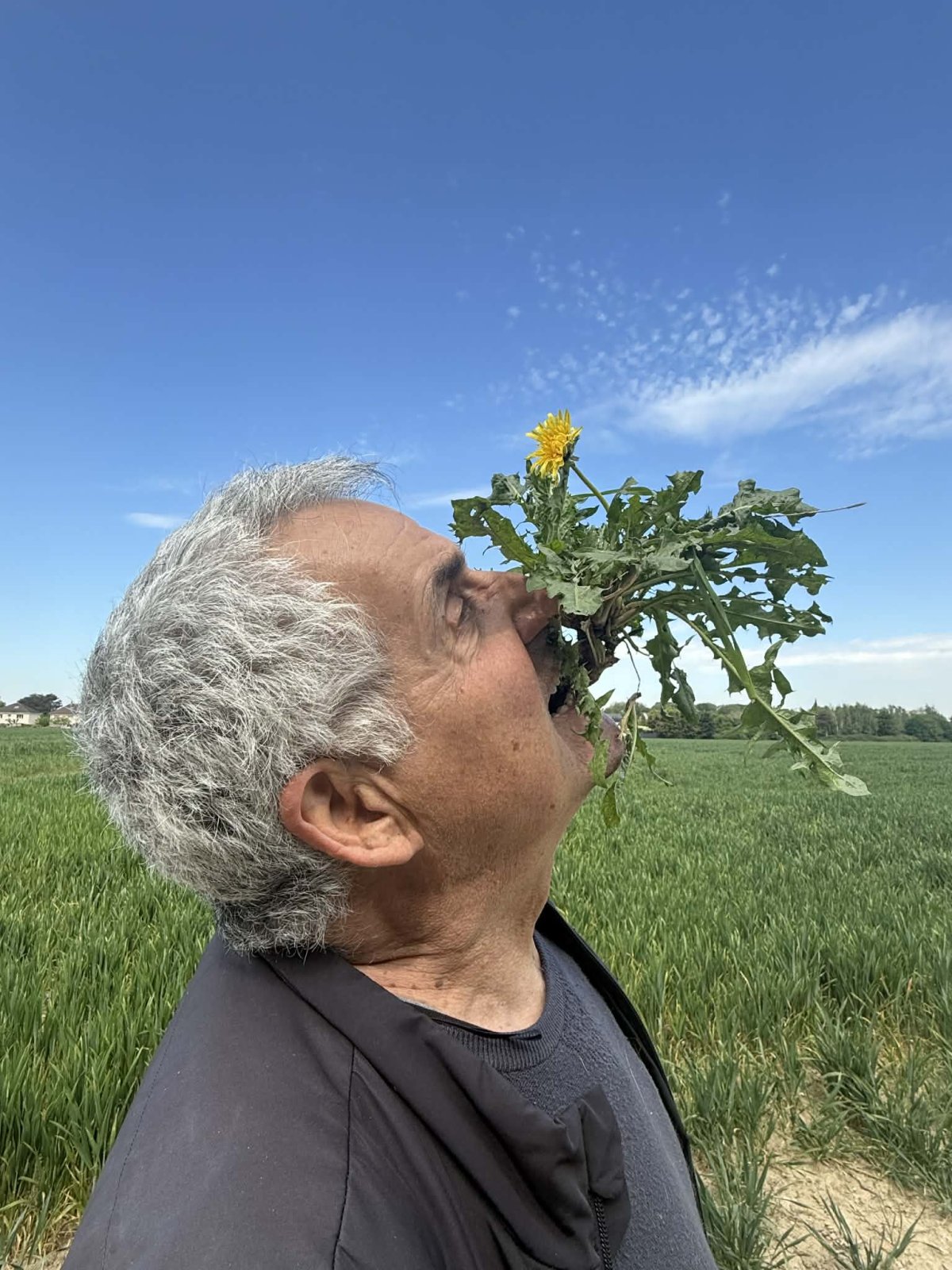 Photo du défi