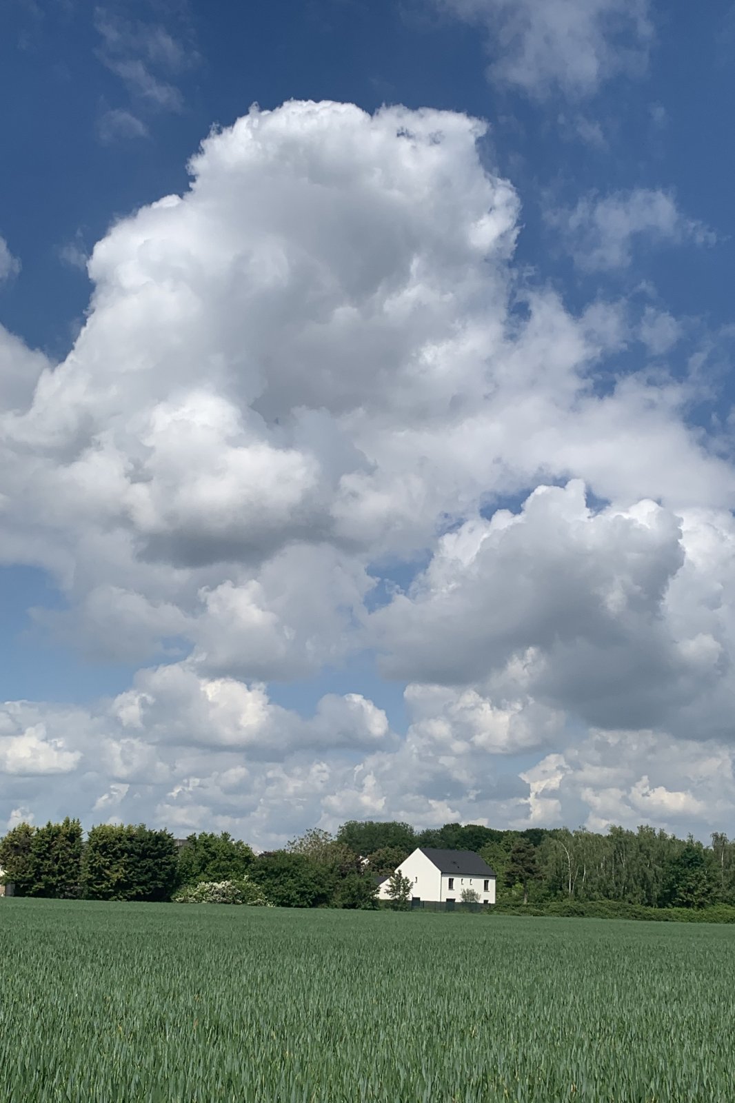Photo du défi